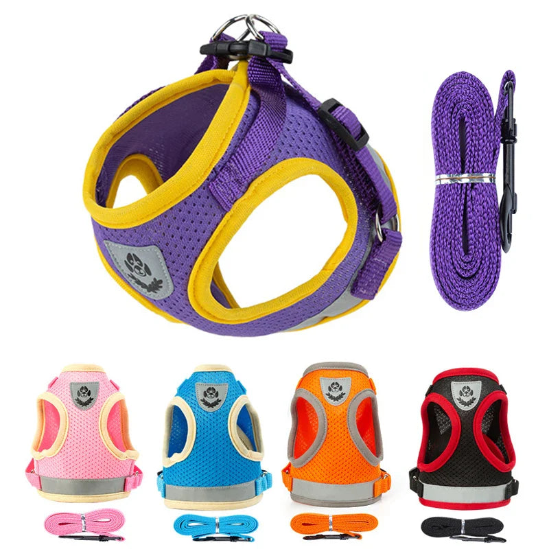 Puppy Harness and Leash Set for Small Dogs
