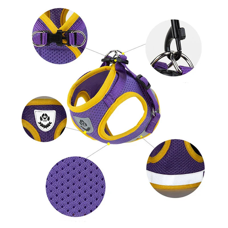 Puppy Harness and Leash Set for Small Dogs