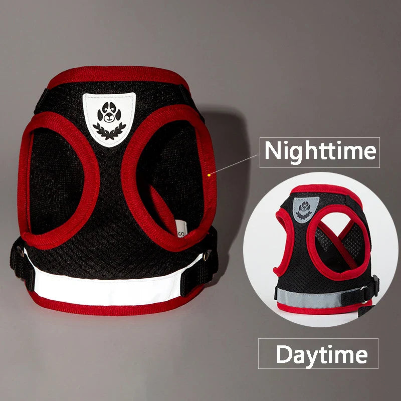 Puppy Harness and Leash Set for Small Dogs