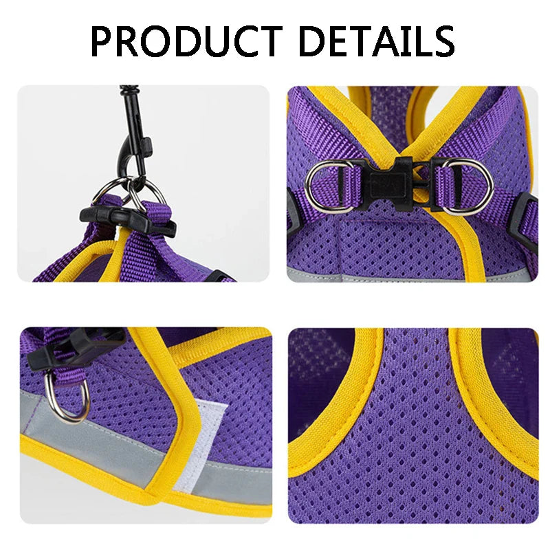 Puppy Harness and Leash Set for Small Dogs