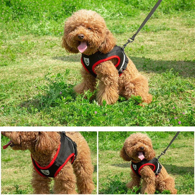 Puppy Harness and Leash Set for Small Dogs