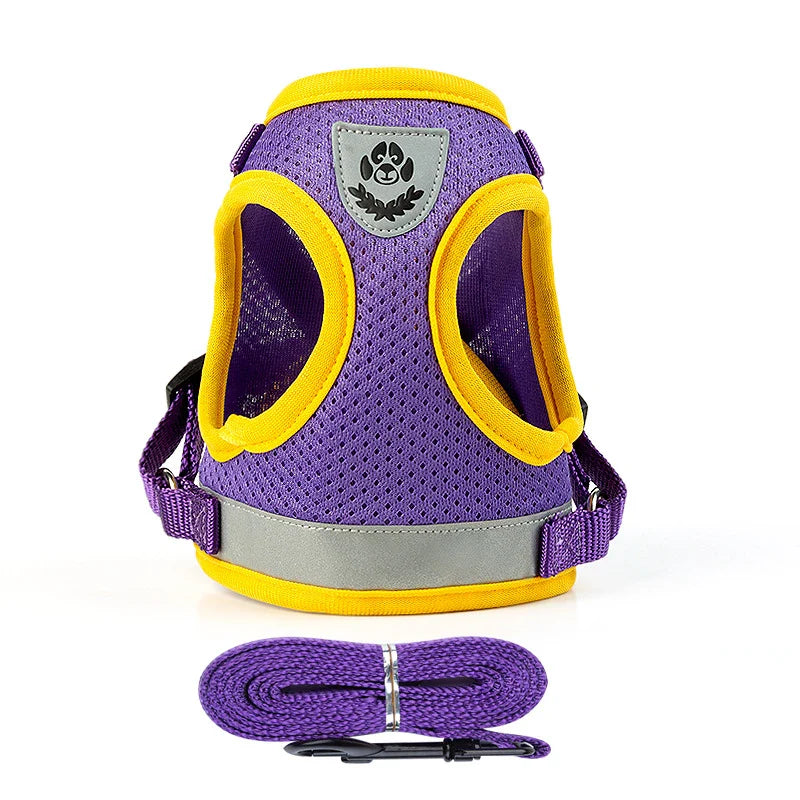 Puppy Harness and Leash Set for Small Dogs