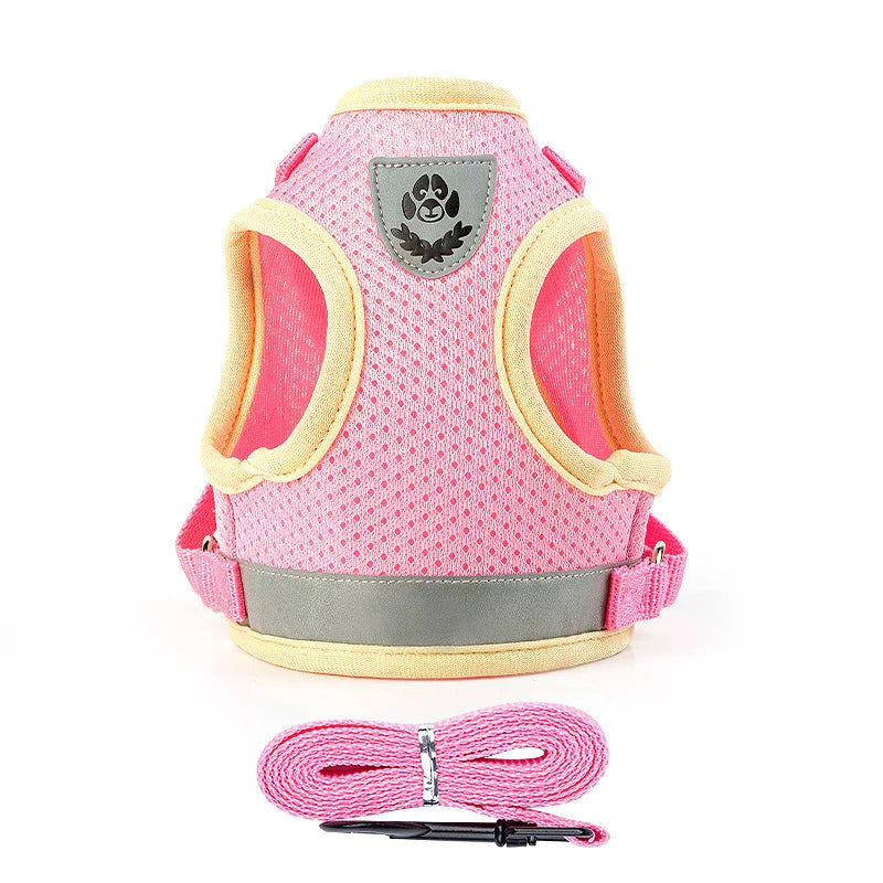 Puppy Harness and Leash Set for Small Dogs