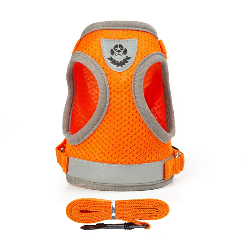 Puppy Harness and Leash Set for Small Dogs