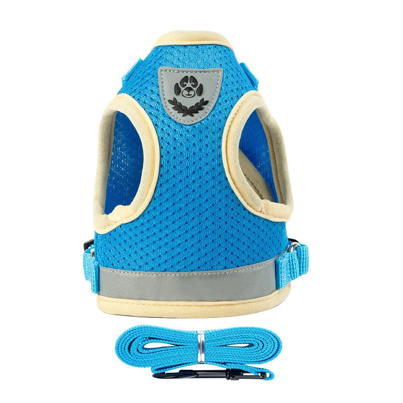 Puppy Harness and Leash Set for Small Dogs