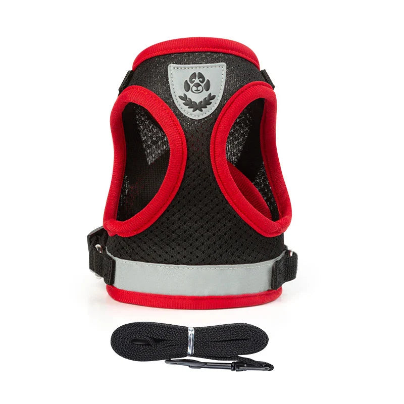 Puppy Harness and Leash Set for Small Dogs