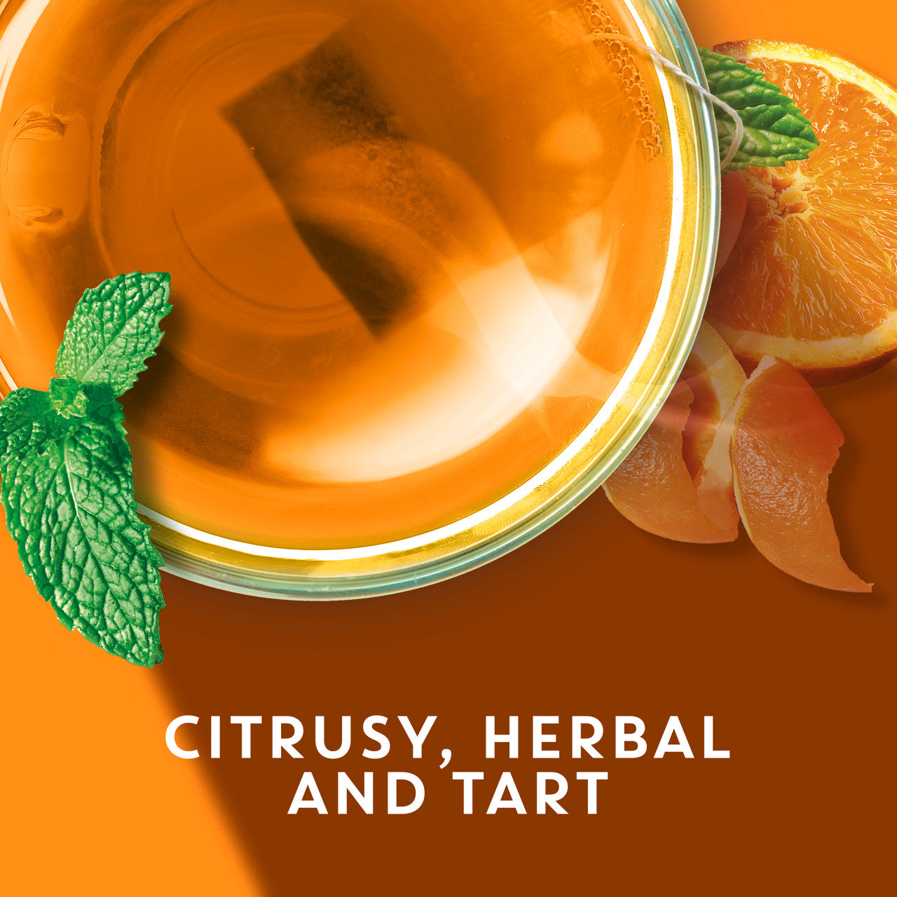 Tazo Tea Herbal Wild Sweet Orange Tea (6x20 Bag)