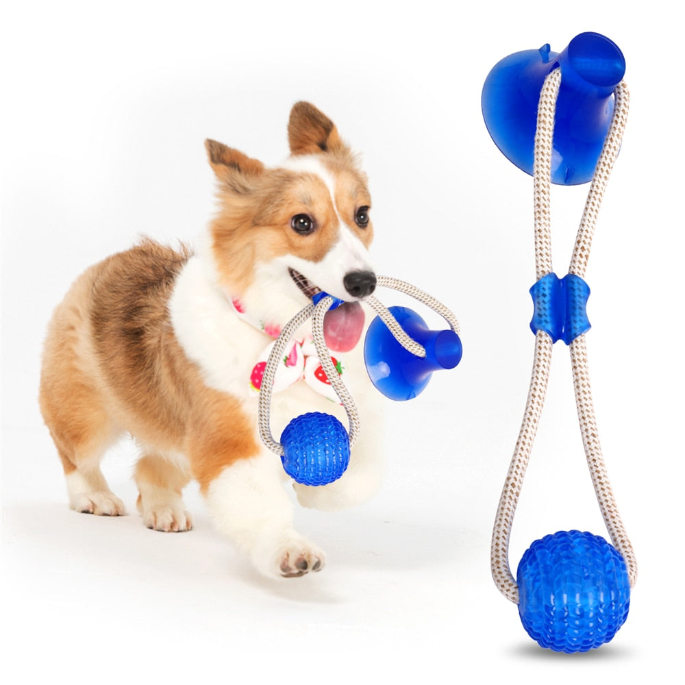 3Pcs Multifunction Pet Molar Bite Dog Toys Rubber Chew Ball Cleaning Teeth Safe Elasticity Soft Puppy Suction Cup Dog Biting Toy